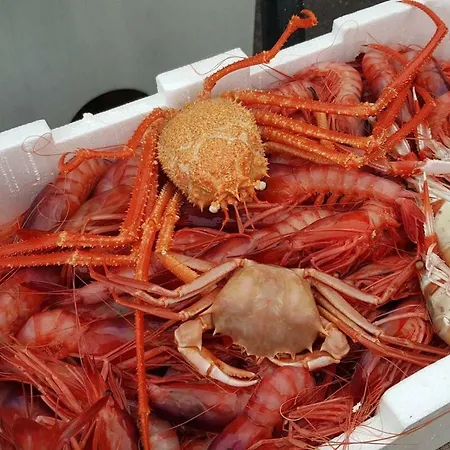 La Casa Di Ulisse 008055- Lt0806 *